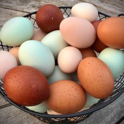 Farm  Fresh  Chicken  Eggs