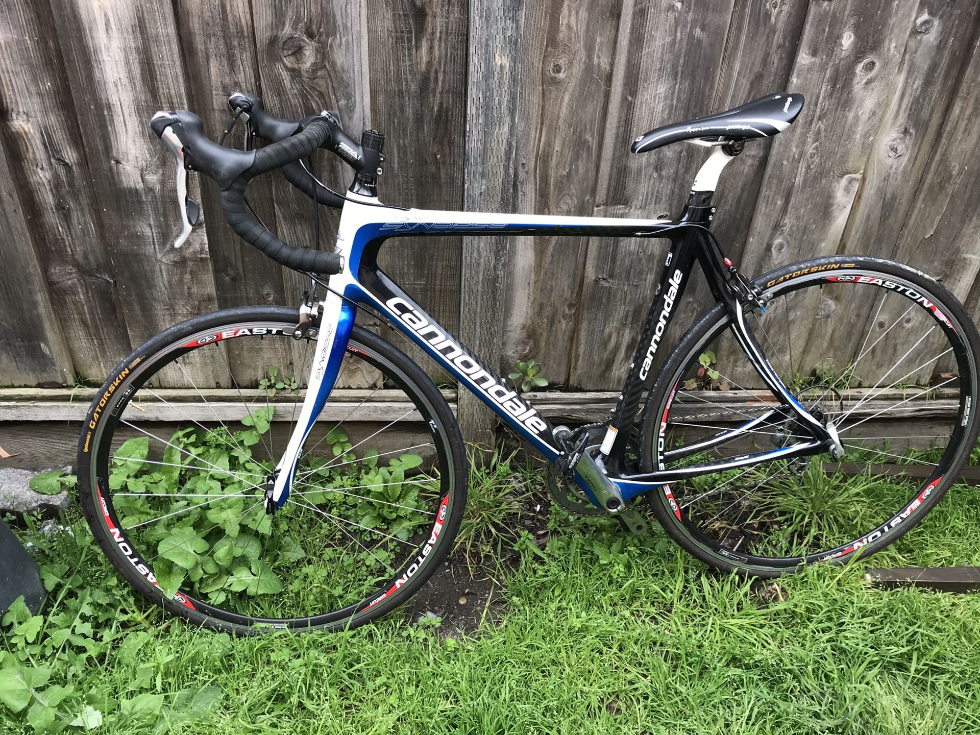 Cannondale Synapse carbon