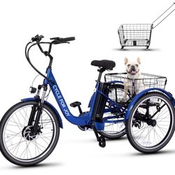 ELECTRIC TRICYCLE W DETACHABLE BASKET 