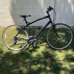 Specialized Globe Bike  