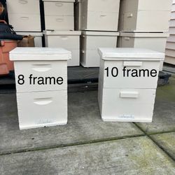 Hives With Frames 