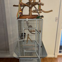 Bird Cage 