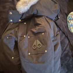 moose knuckle coat men 