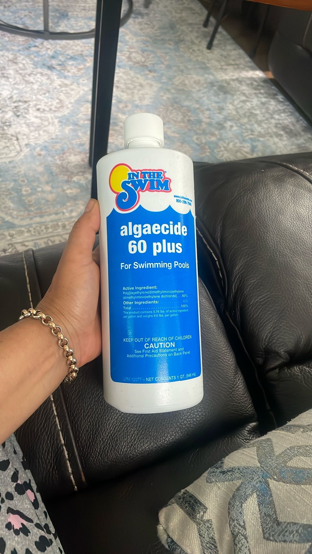 In The Swim Algaecide 60 Plus Pool Product