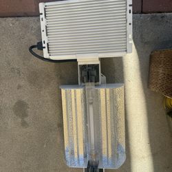 Grow Lights 🌿💨