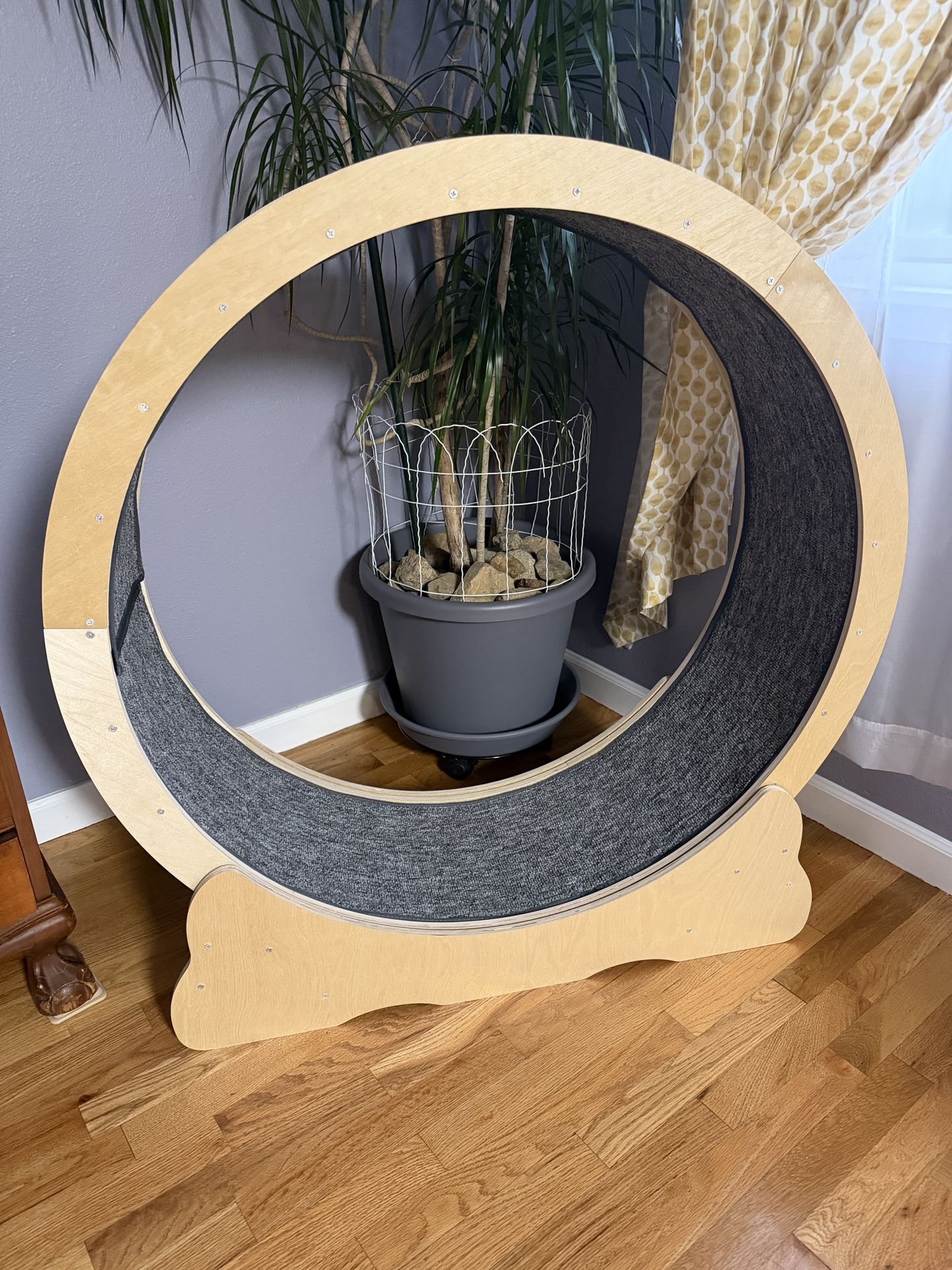 Cat Exercise Wheel