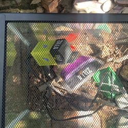 glass reptile terrarium