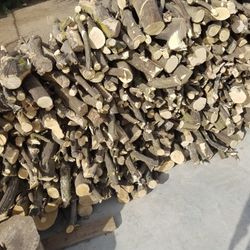 Seasoned Orange Tree Firewood