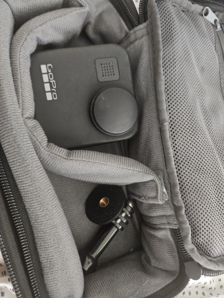 GoPro MAX 360 In Case