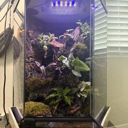 Complete set up vivarium/terrarium