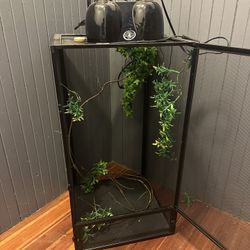 Chameleon Habitat Set Up 