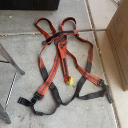Safety Harness