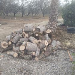 Bundles Of Oak And Almond Wood Awesome For Kendling