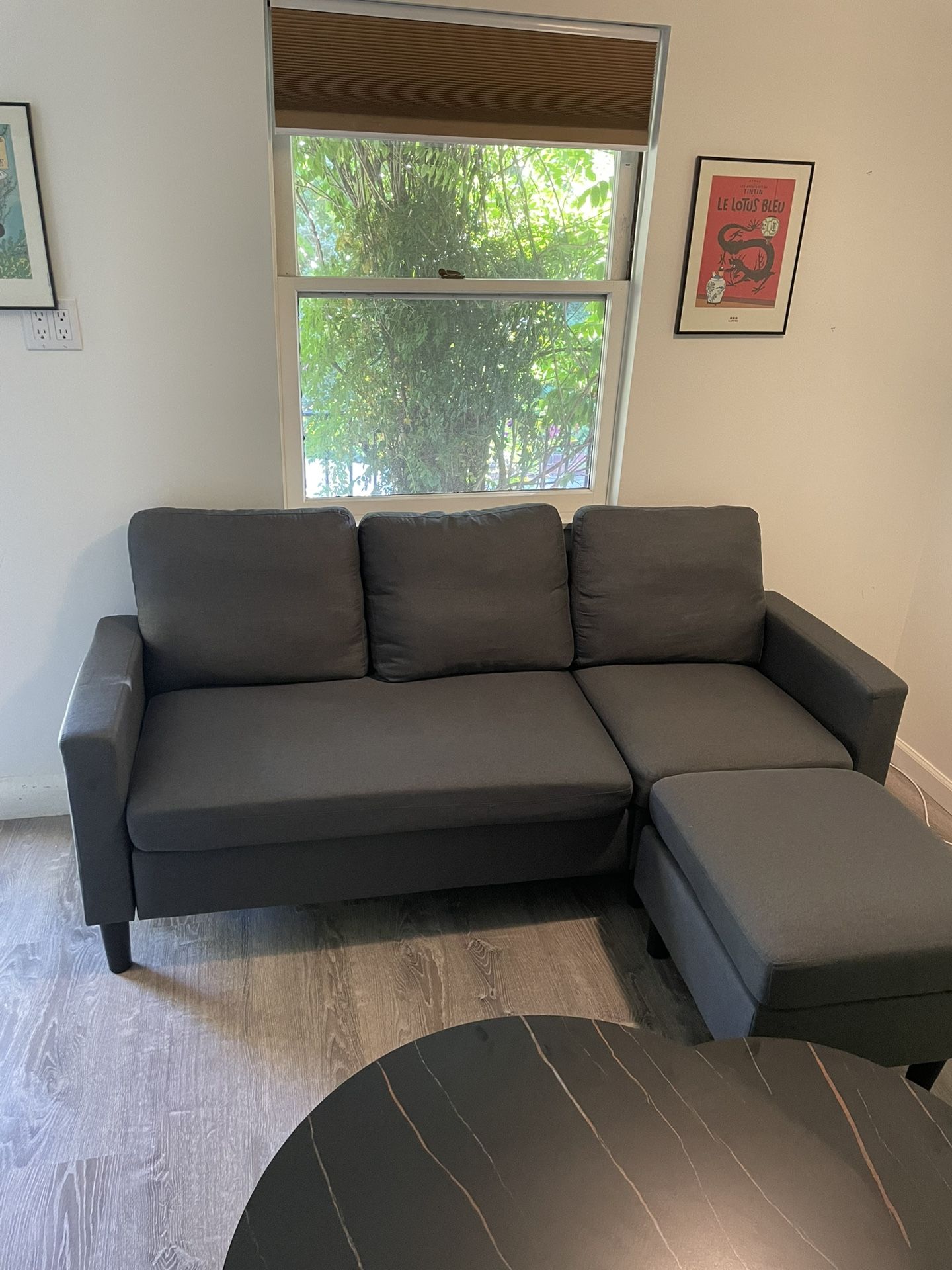 Couch 73”