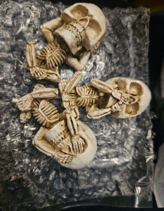 MINI CALAVERAS