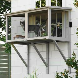 Window Catio ,new