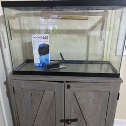 29 gallon fish tank, stand, and filter