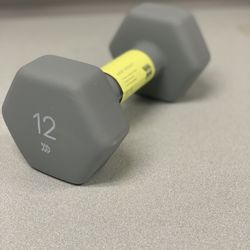 2  12 lbs  Hand Weights 