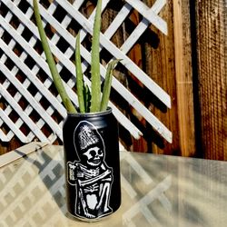 Organic Aloe Vera / Savila Plant in Rogue IPA Beer Can