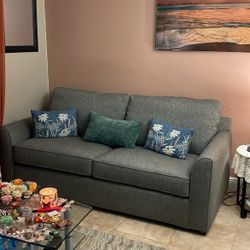 Living Room Couch