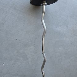 Pesas con discos 2-25lbs  2-10lbs