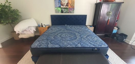 Aleiny Blue Velvet King Size Bed  with 12" Extra Firm mattress and top matress.