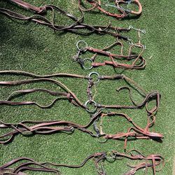Horse Tack