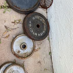 $25- Plate Weights