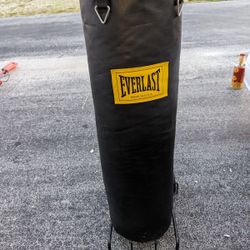 Everlast Punching Bag $70. Price Slash $60