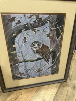 Don Edwards Collection