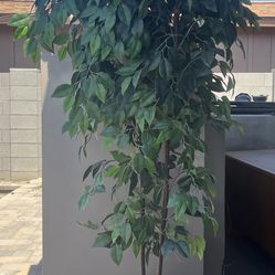Fake Plant Tree