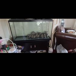50 Gallon Fish Tank