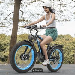 26 Inch Adult Electric Bike 48V, 720W