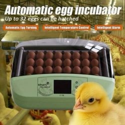 Egg Incubator