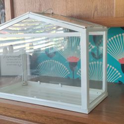 IKEA Greenhouse/ Terrarium