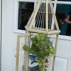 Beautiful Bird Cage