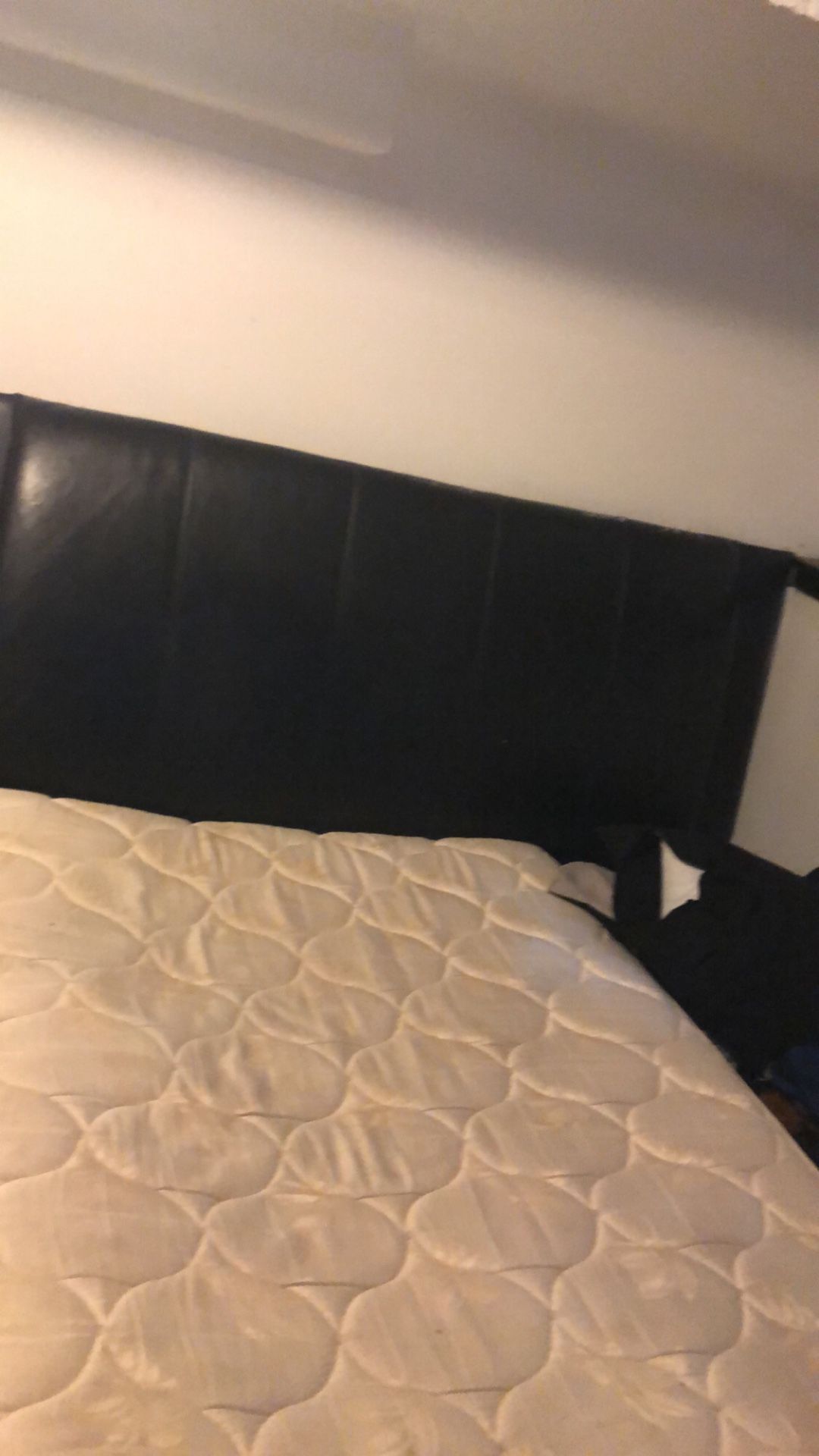 Free queen bed frame pick up only