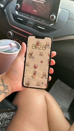 iPhone 13