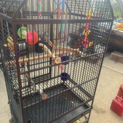 Bird Cage