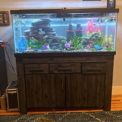 75 Gallon Tank Used Only 2 Months And Bought New