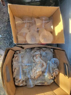 Glasses glass cups