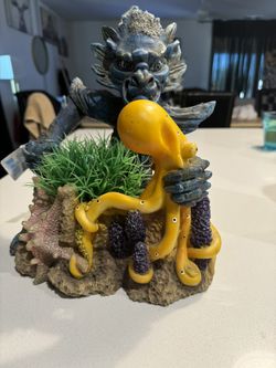 Aquarium Decoration