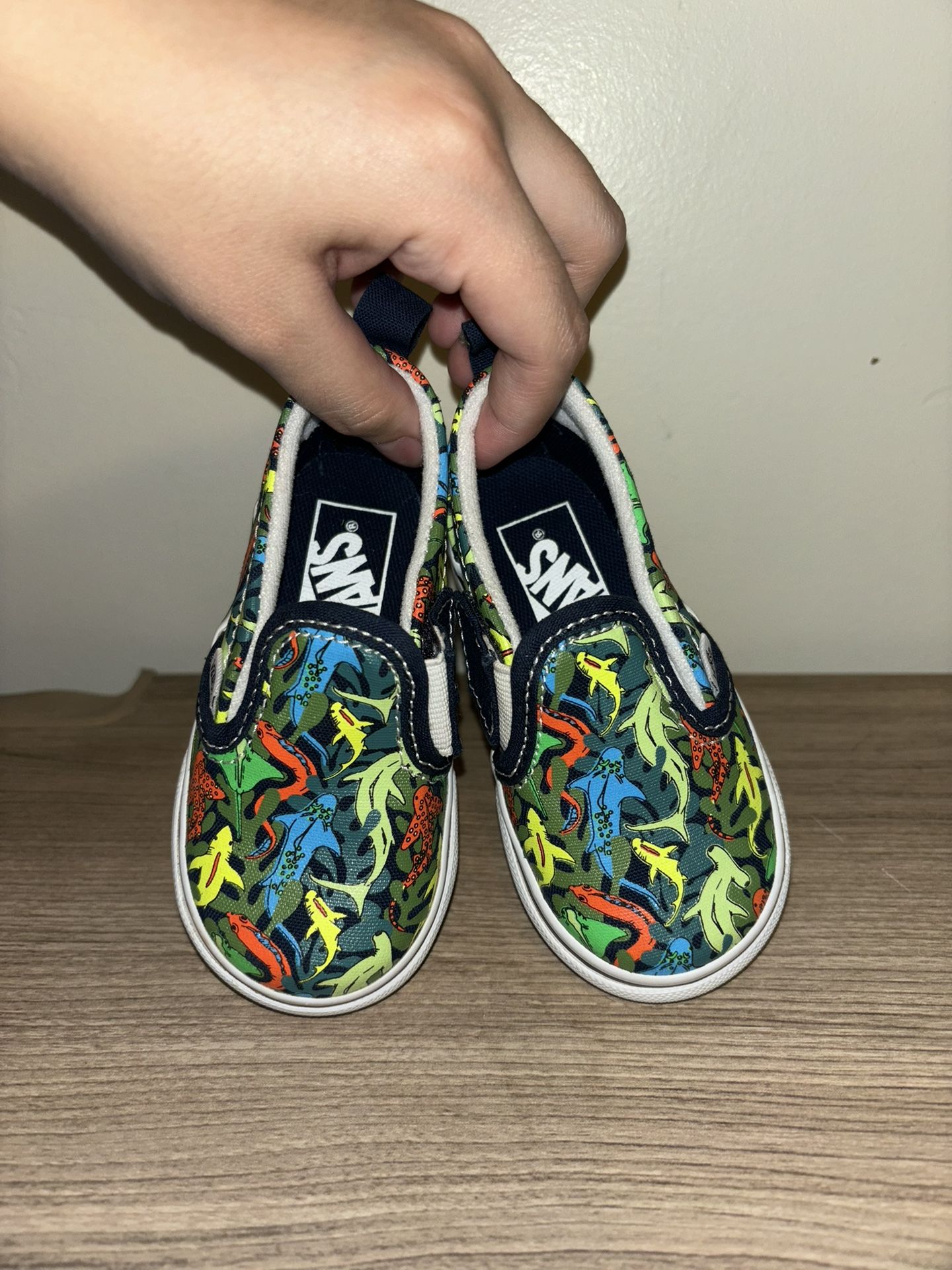 Vans Sharks