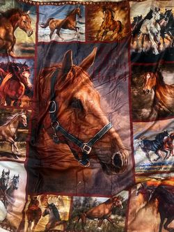 Horse blanket