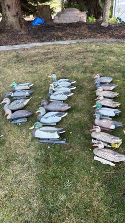 Large Lot of Duck Decoys