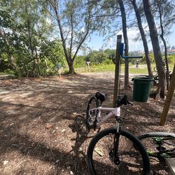 NISHIKI MOUNTAIN BIKE PINK