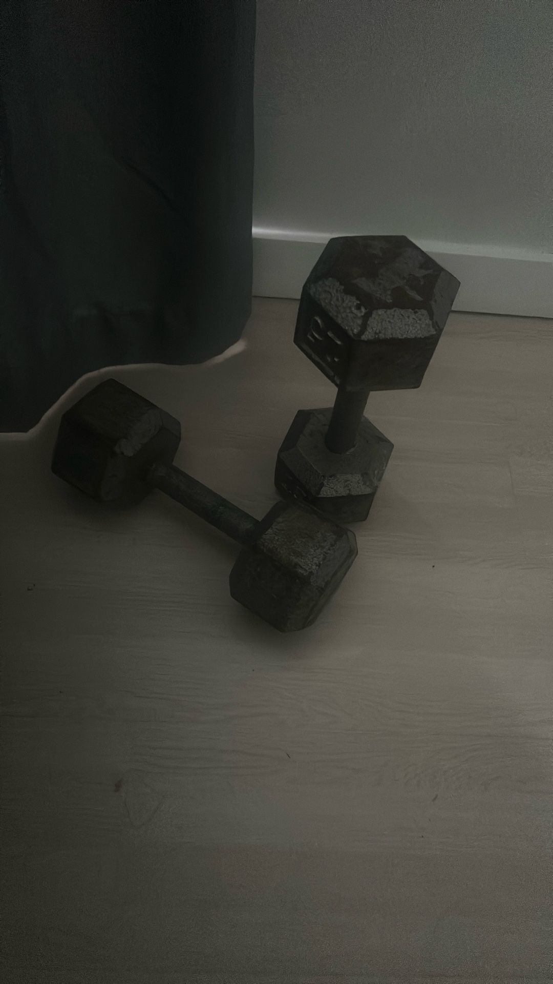 25lb Dumbbells