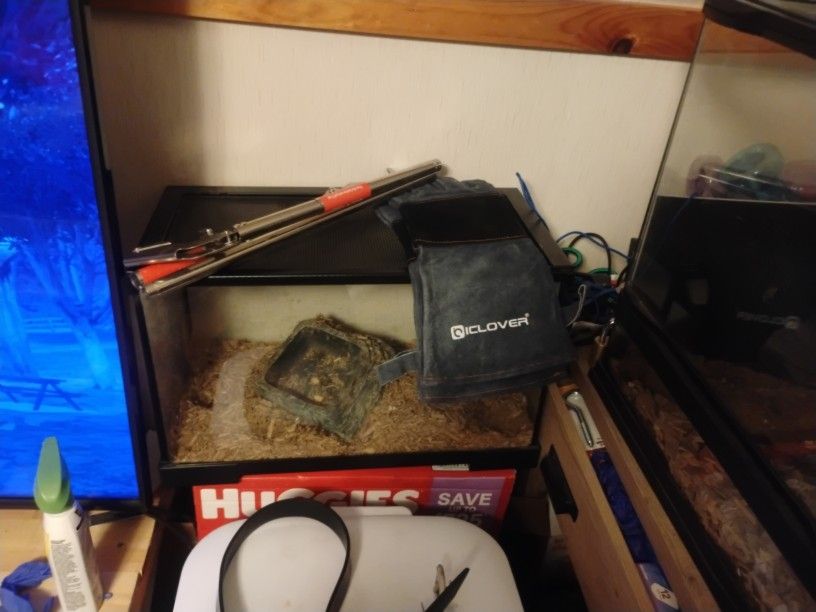 Reptile Tanks 