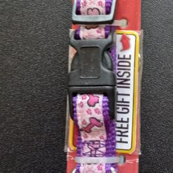 Small Dog Cadet Adjustable Nylon Collar