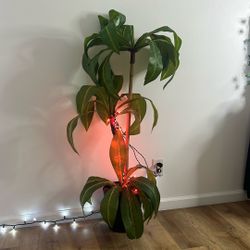 Fake Plant